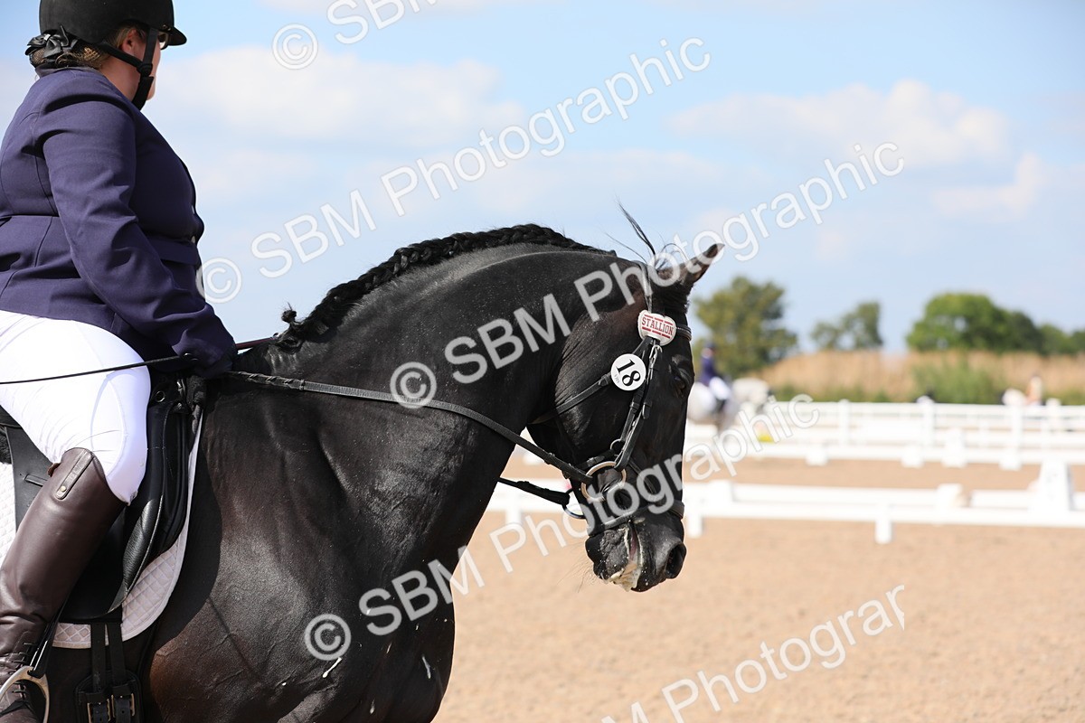 SBM_07602 - Class 33 Elementary 1