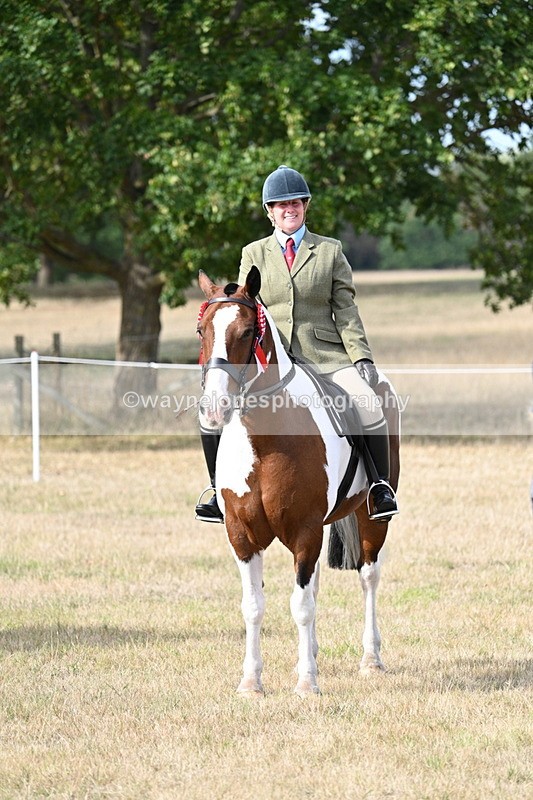 WJ7_7834 - Ridden Championship