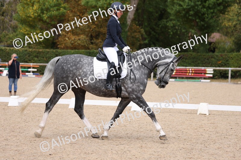 20250820-0794 - Class 15 - Novice 4