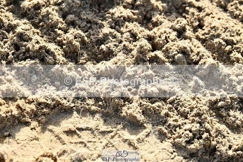 251004A-094806-00253 - Classes 1-2-3 40cm