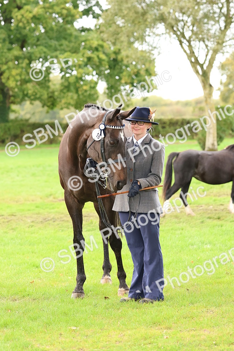 SBM_39509 - S24 - Young Veteran In Hand