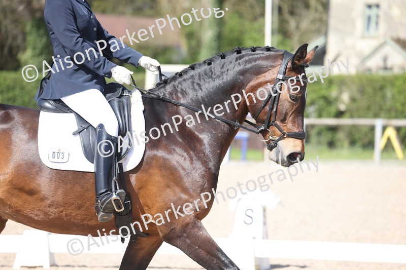 20260405-0580 - Class 7 - Medium 5