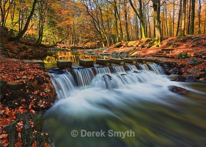 Fast Flowing Shimna River - Tollymore Forest park- Newcastle