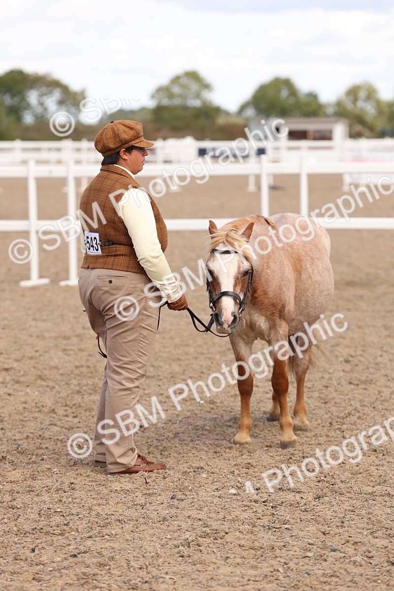 SBM_15073 - Class 209 - IH Veteran Pony