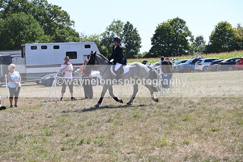 WJ6_8892 - Class 38 Ridden Riding Horse/Pony