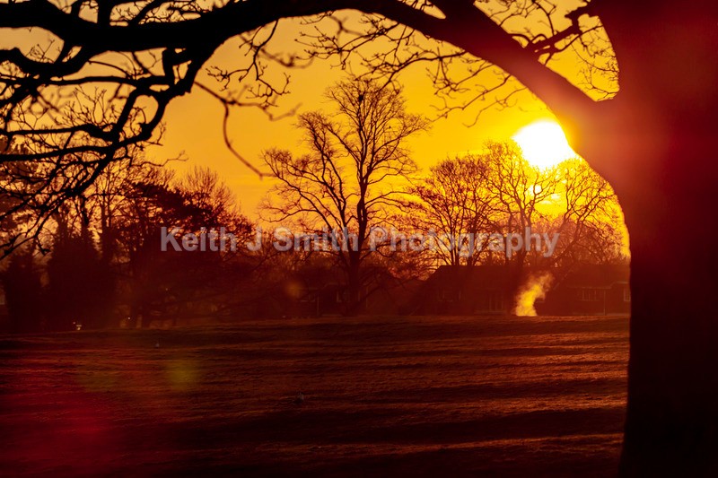 2KJS4952 - Trees in Abington Park
