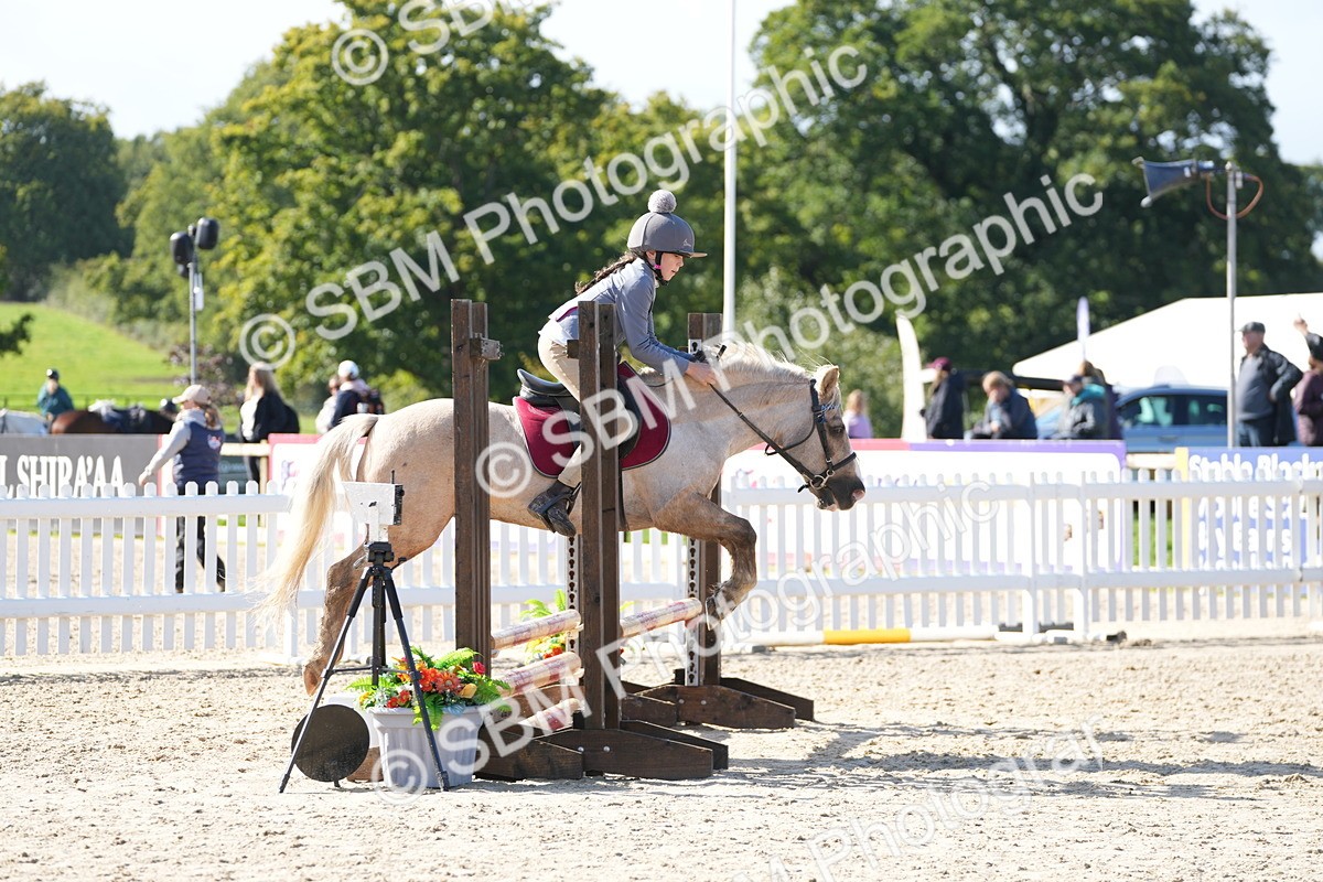 SBM_38307 - J6 - Junior Pony 55cm Championship