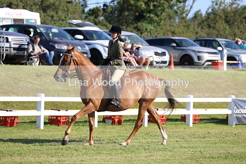 3E7A5418 - Class 2: Rising Star Large Hack/Riding Horse