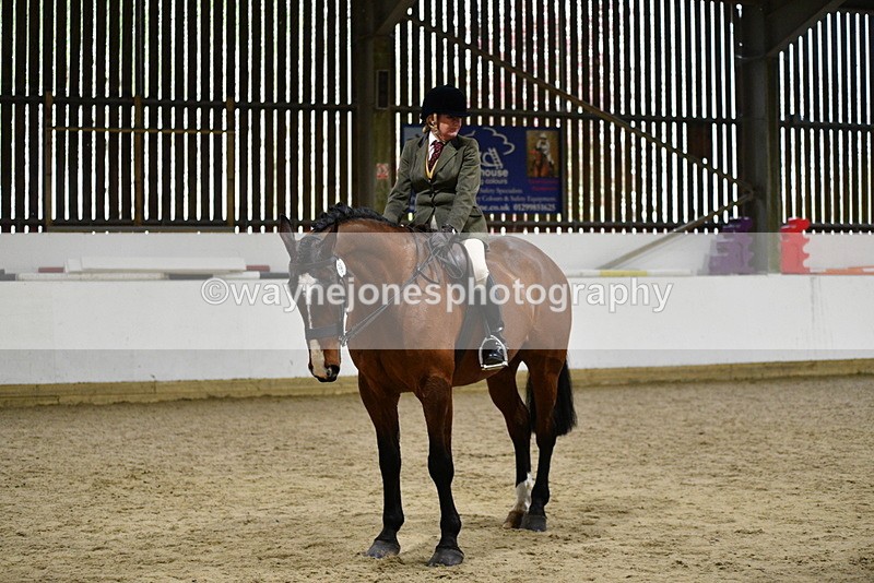 WJ5_8978 - Class 15 Ridden Show Horse