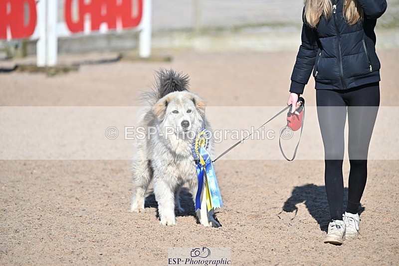 250301-131853-01468 - 90cm