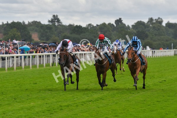 150723-Race 4-Hamish-8701 - Race 4 3.45pm John Smith's Silver Cup Stakes