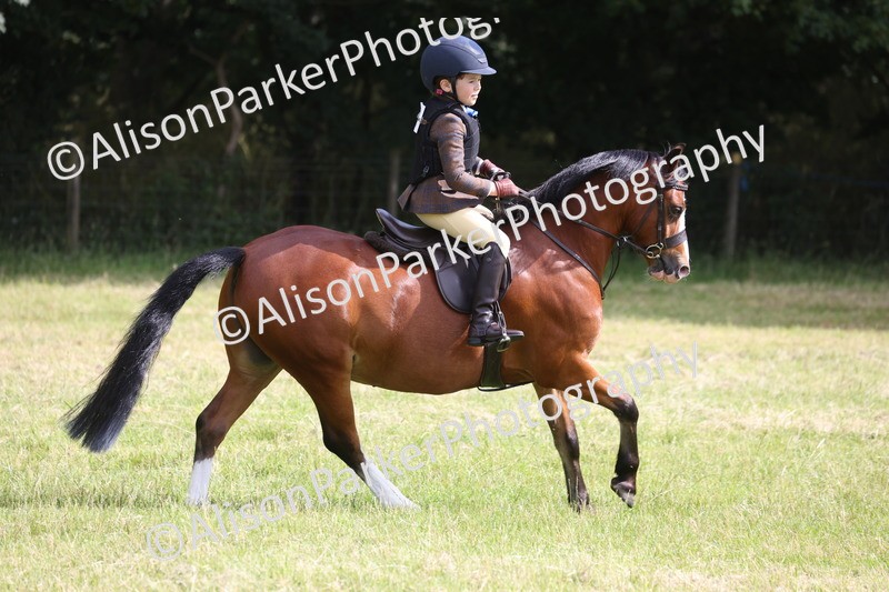 20260614-0502 - Class 20 - Beginners Working Hunter Pony