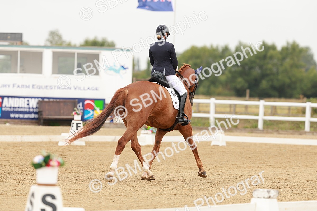 SBM_010088 - Class 11 - Elementary 6 - 12.40-13.36