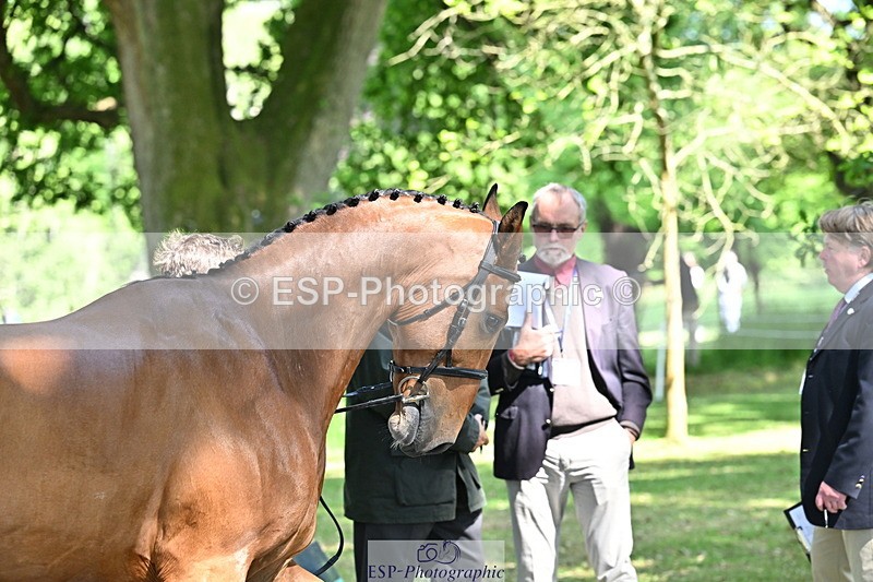 250521A-154541-00741 - B-363-Tom.D.Crisp-BLS.ABSOLUTELY