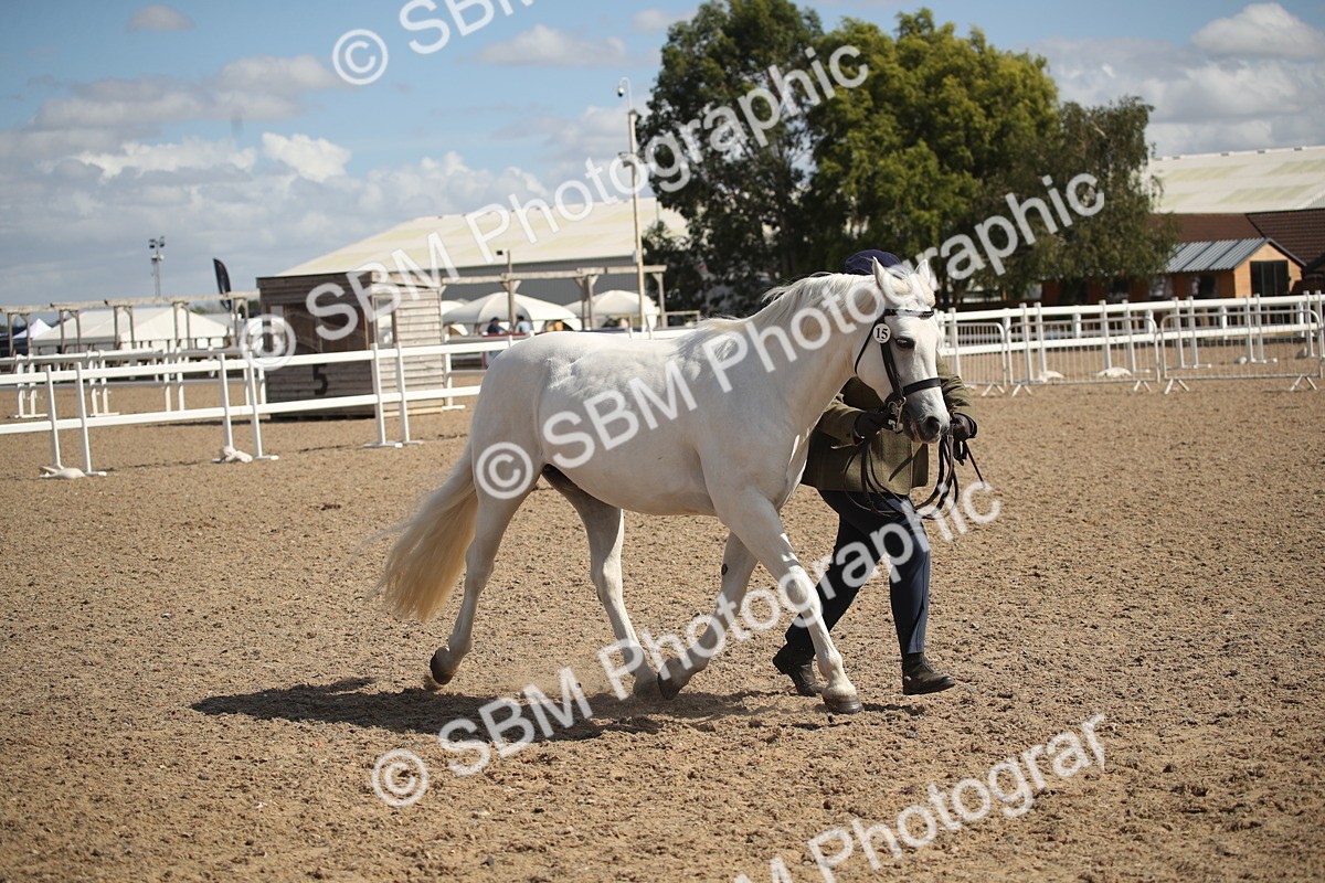 SBM_23135 - Class 606 - 2026 - Area - IH Pre Vet