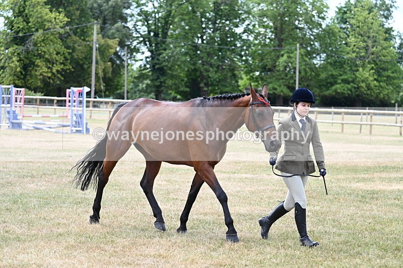 WJ7_1902 - Class 4a Prettiest Mare 14.2hh and over hand