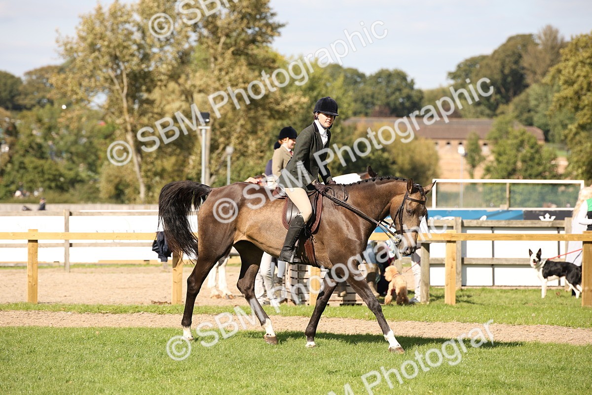 SBM_50058 - S26 - Young Veteran - Ridden