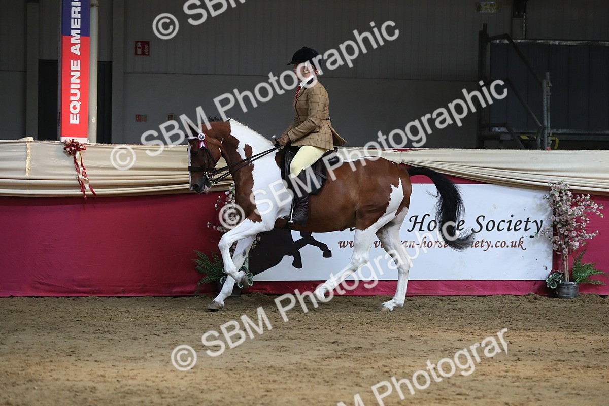 SBM_08353 - Class 11R Regional Ridden Veteran