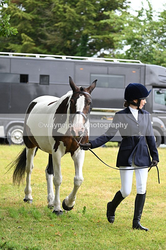 WJ7_6132 - Class 4a Prettiest Mare over 14hh