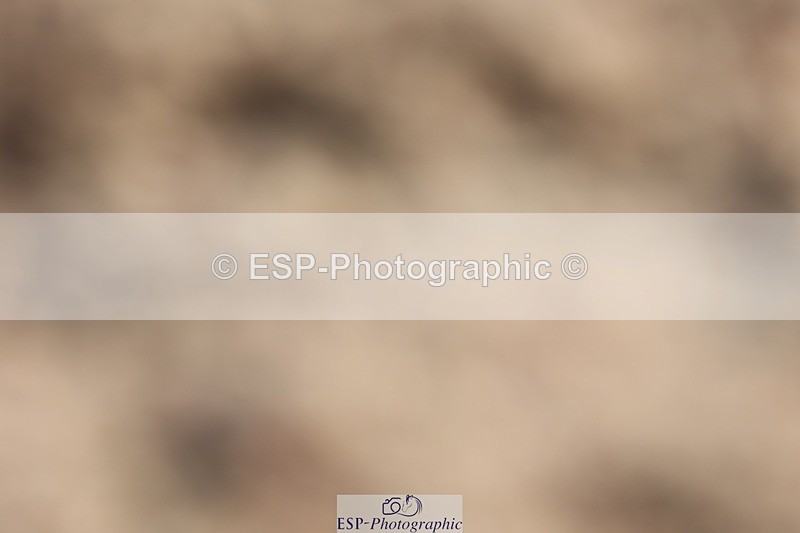 250622-083108-13735 - Cls 44 Prelim 5, Start to 9.20am