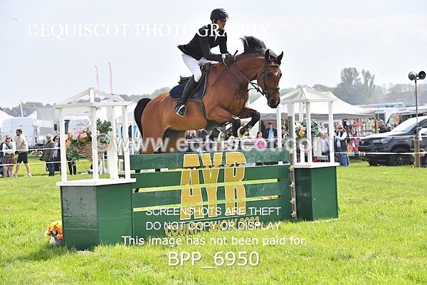 BPP_6950 - CLASS 3 RHS Fox Champ Qual (1.20m)