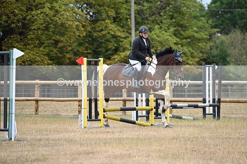 WJ6_0081 - Class 13 Novice Jumping 60cm