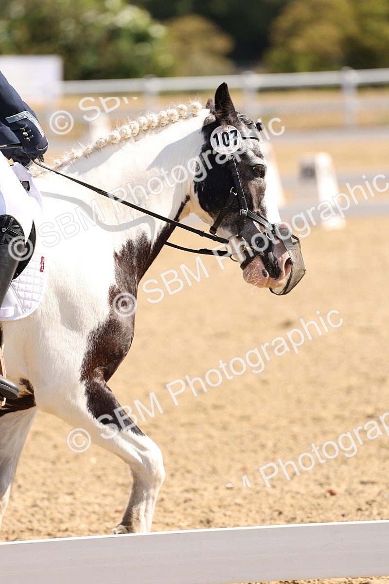 SBM_001035 - Intro 2