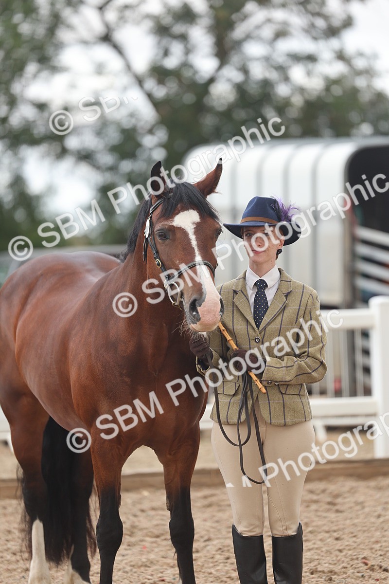 SBM_03246 - Class 16 - IH M&M Wildcard