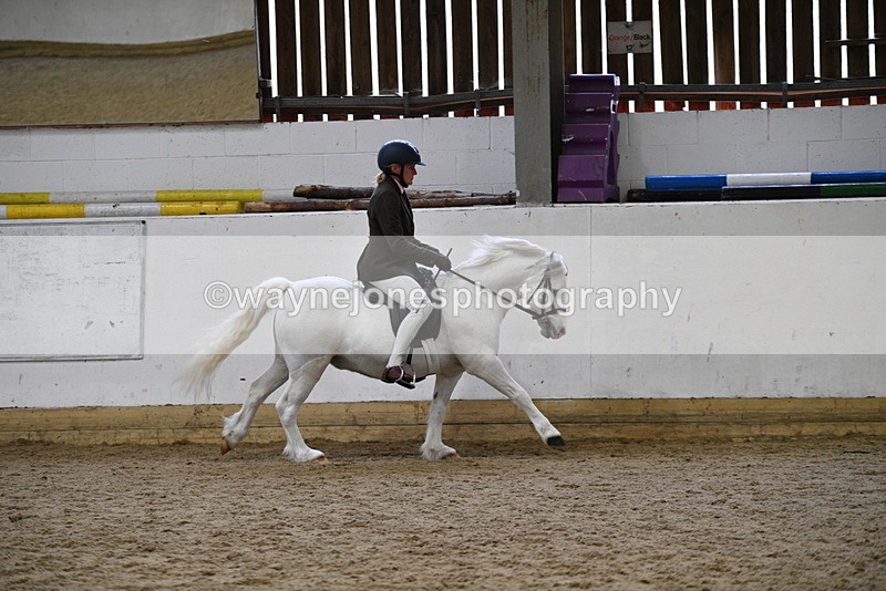 WJ5_6288 - Class 9 Ridden Veteran