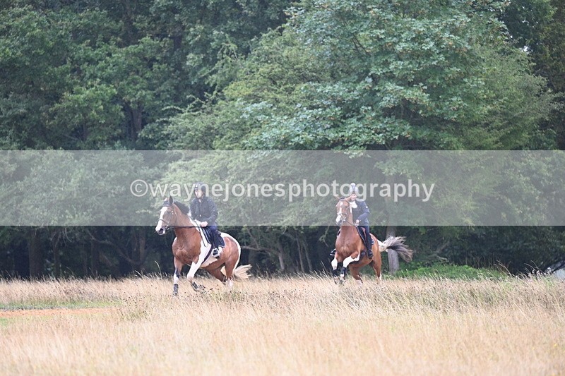 DSC_1582 - Time at Statue 11:54 to 12:12