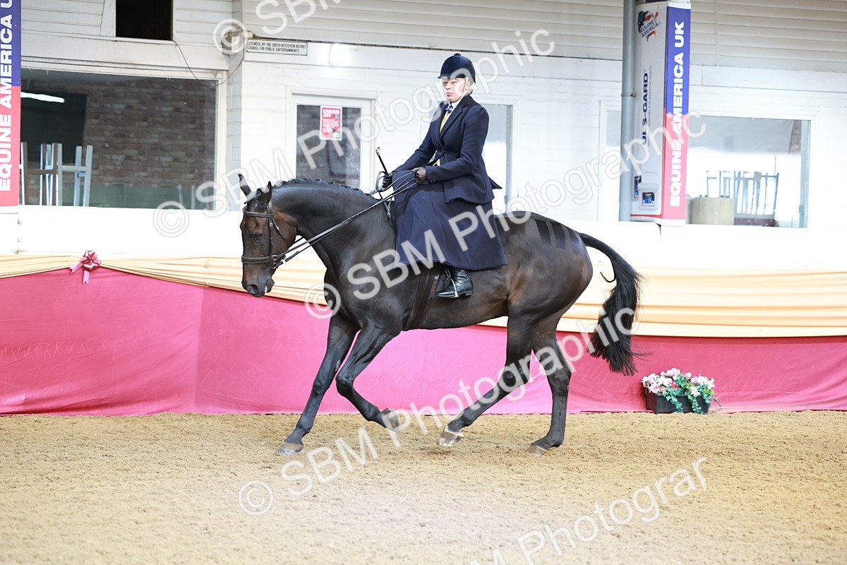 SBM_11943 - Class 102 - Equitation (Best Rider) Adult