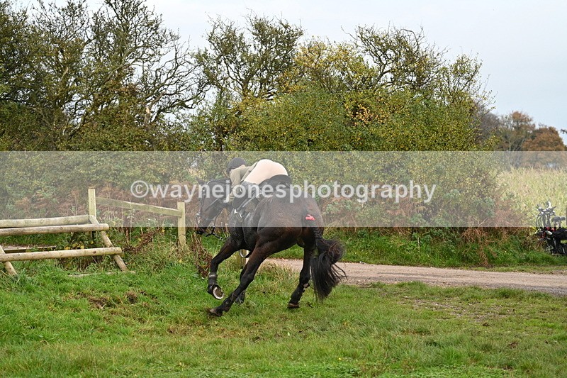WJ7_0423 - Camera 1 & Last fence