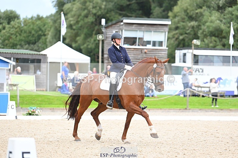 230813-135409-07634 - Cls 13 Medium Bronze 13.15 to End