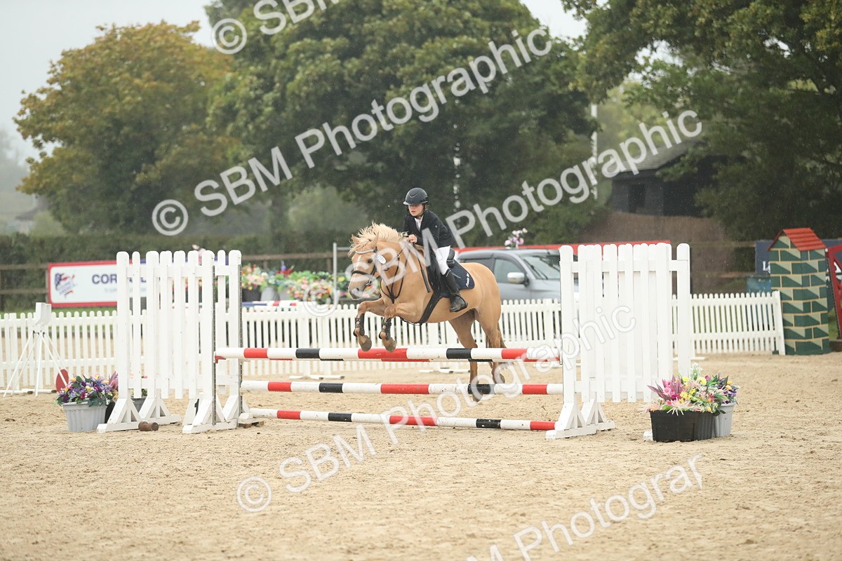 SBM_74281 - Supreme championship Junior Pony 70cm 75cm