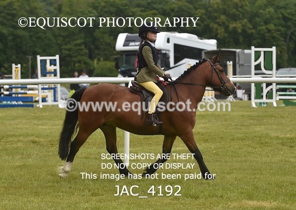 JAC_4192 - WORKING HUNTER CHAMPIONSHIP