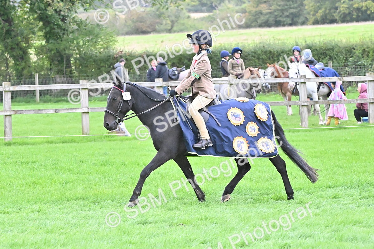 SBM_42897 - S12 - Family Horse & Pony