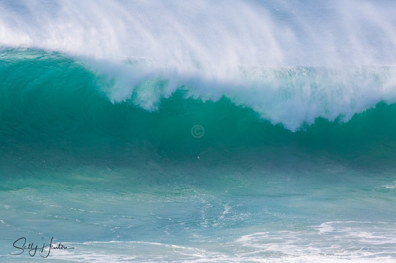 Waves large 12