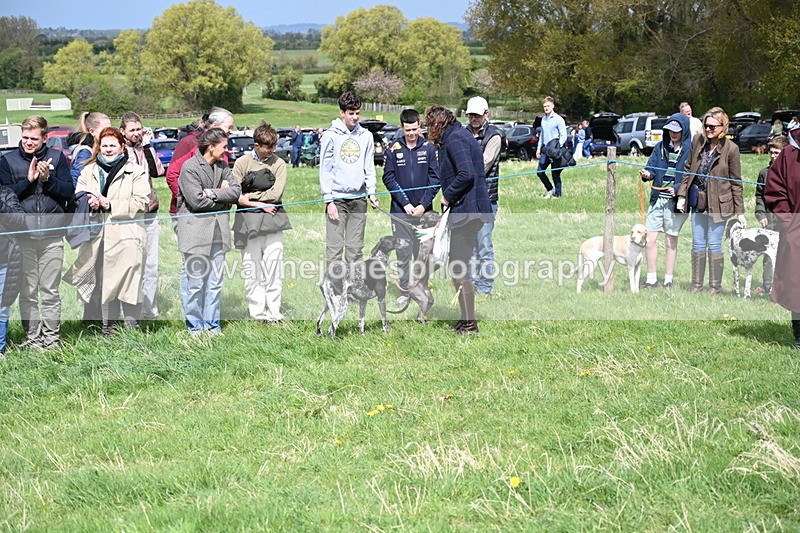 WJ6_8375 - Class 4 Prettiest Bitch