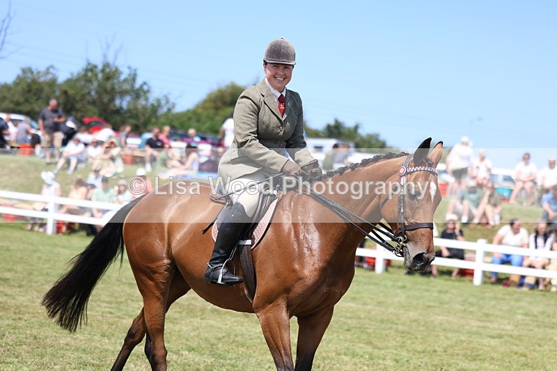 3E7A9403 - Class 12: Open Racehorse to Show Horse