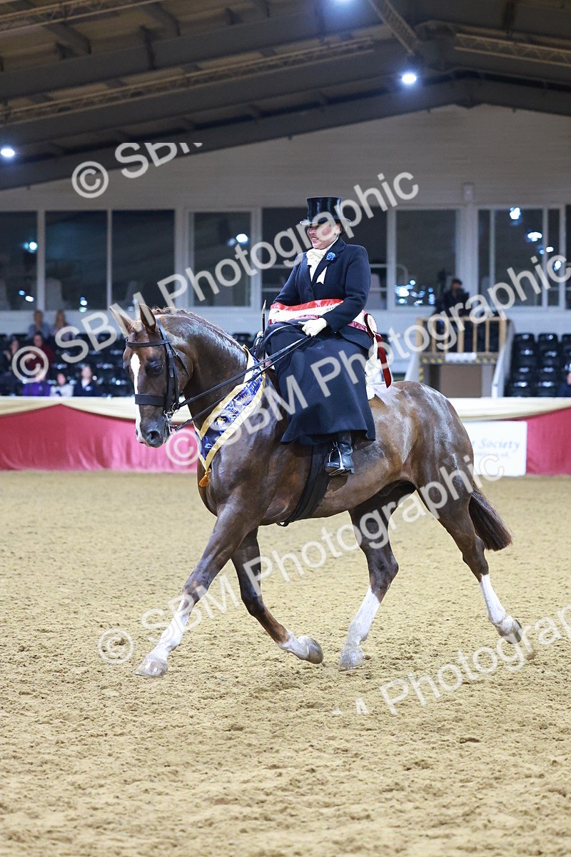 SBM_15054 - Class N - Side Saddle Champ