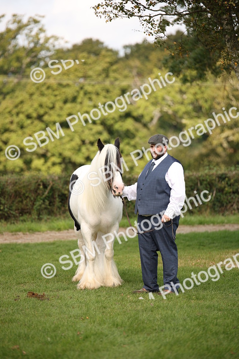 SBM_62303 - S55 - Traditional Cob In Hand