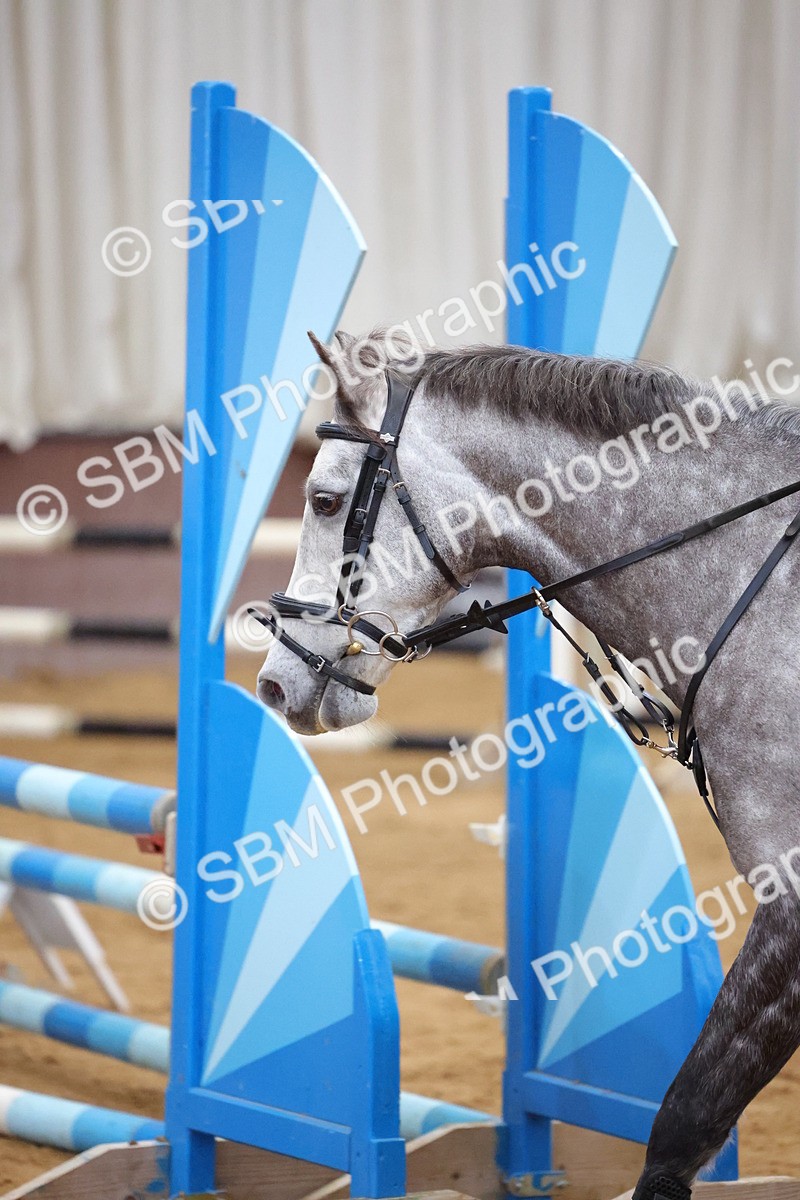 SBM_001705 - Class 5 - 80cm