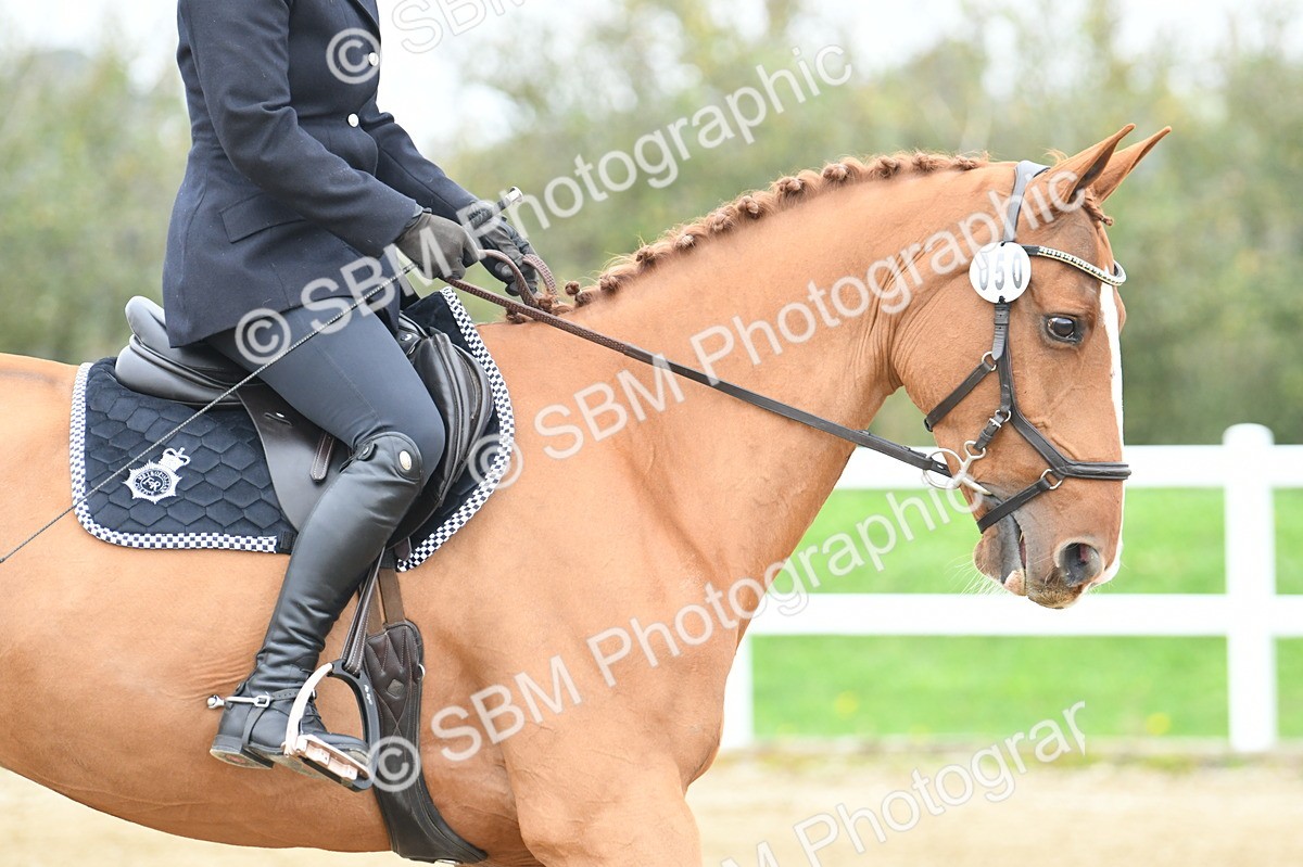 LAD_3704 - Novice Test 2