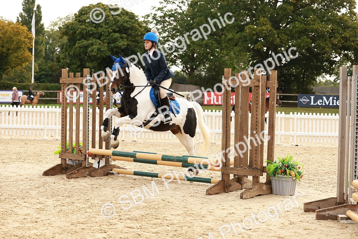 SBM_57688 - J11 - Junior Pony 50cm Championship