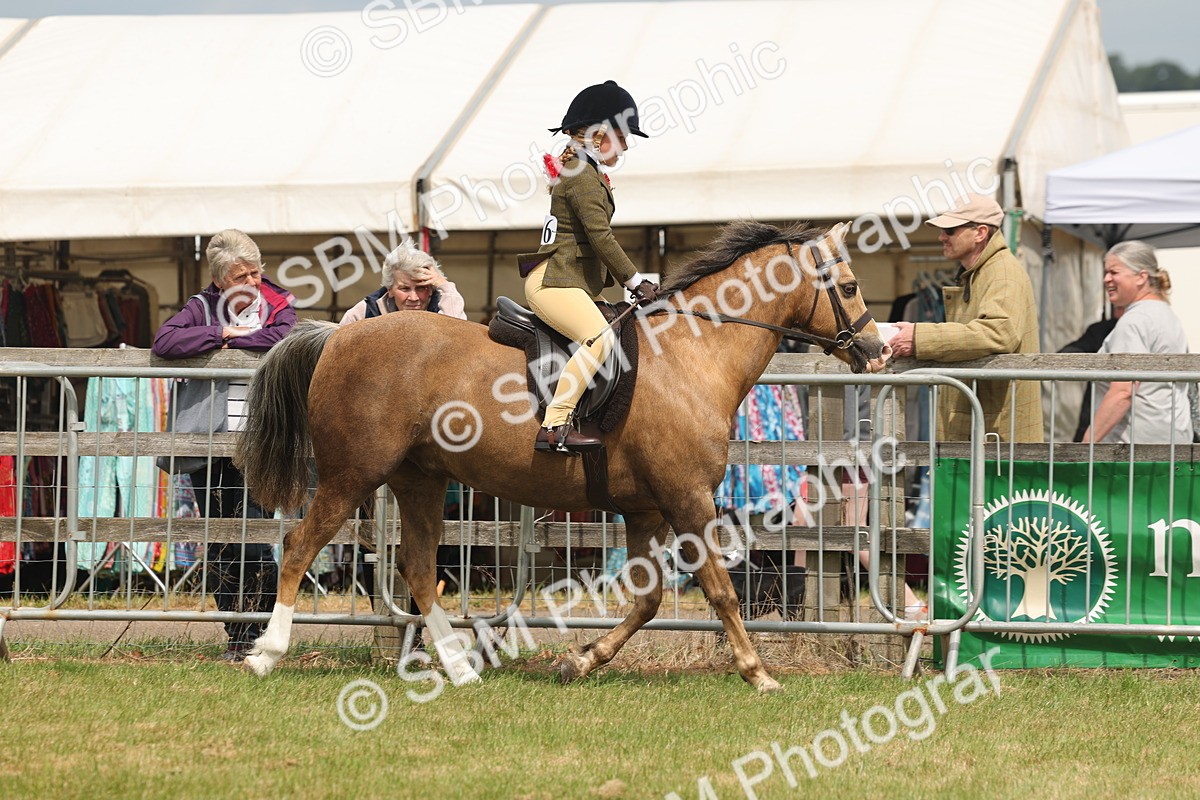 SBM_06855 - Class 74-75 - M&M Lead Rein and First Ridden Pony