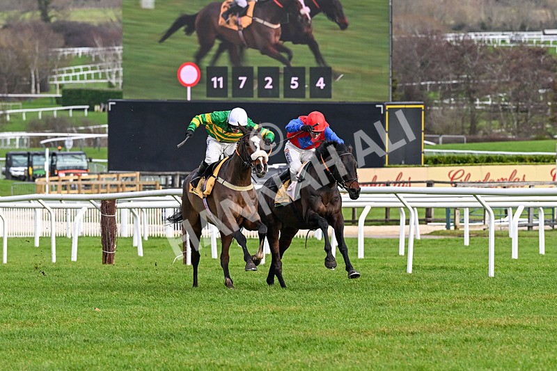 240126-Race 3-Donnacha-6392 - Race 3