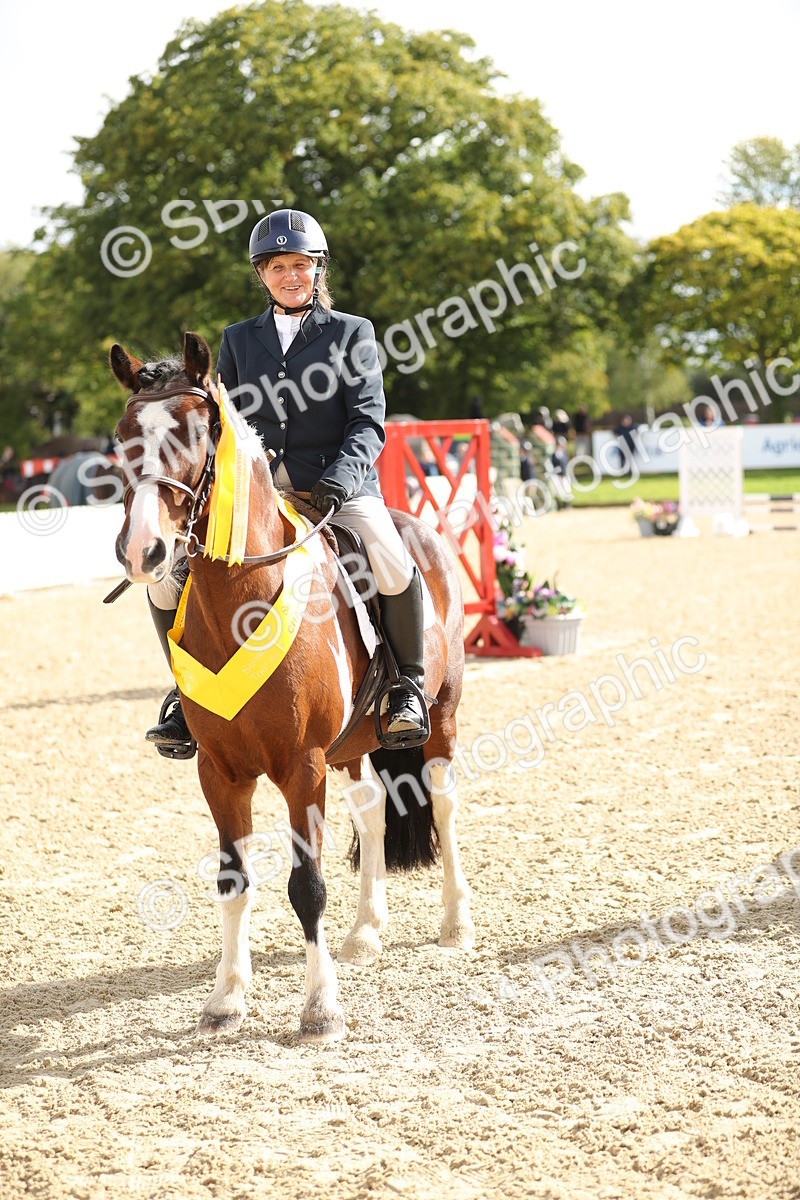 SBM_02038 - J34 - Veteran Rider 50cm