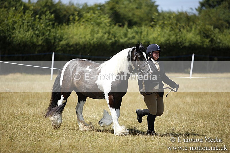 _C7A0032 - BVRC Sow 2018 Ring 2