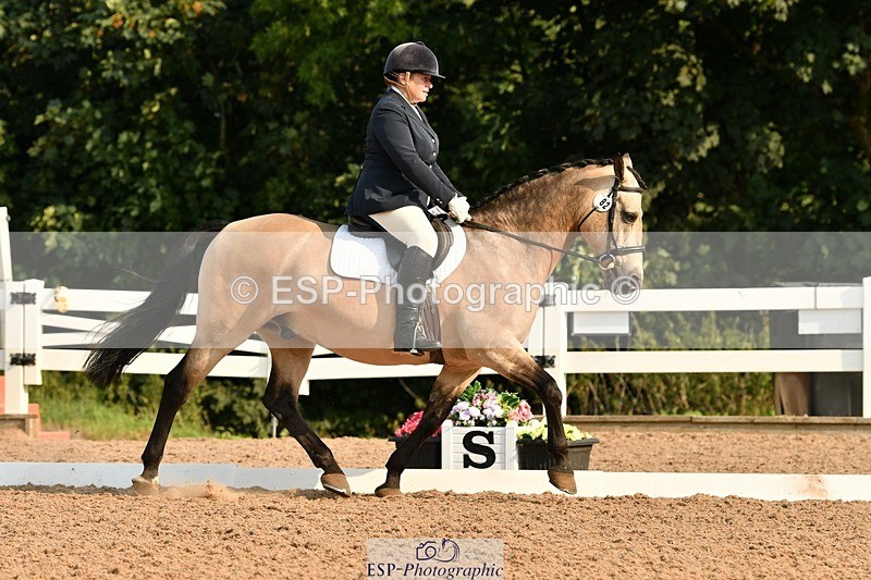 250817-092530-06914 - 082-Sarah.DavisWinston.Classic.Gold