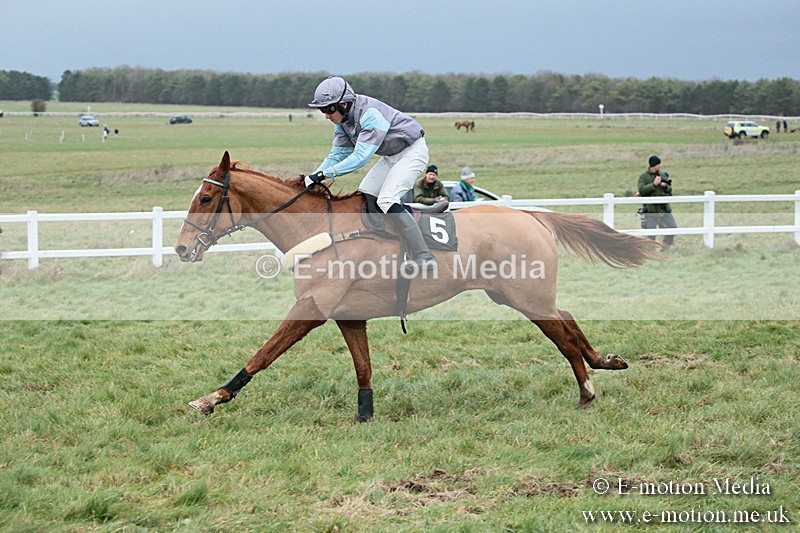 PtP 021218-181 - Hursely Hambledon Hunt Point-to-Point - Larkhill 02/12/18